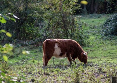 Talaue Waiblingen 1107