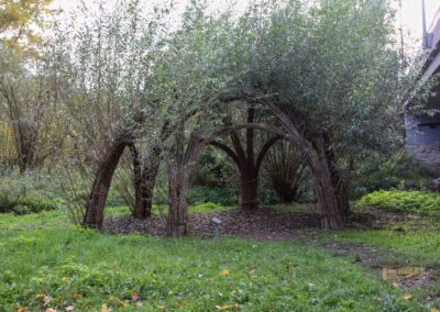 Talaue Waiblingen 1113