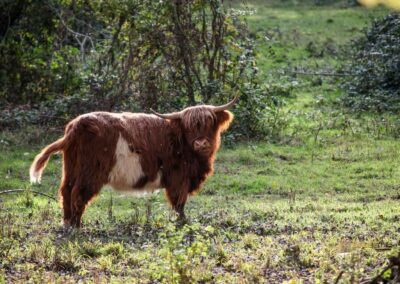 Talaue Waiblingen 4983