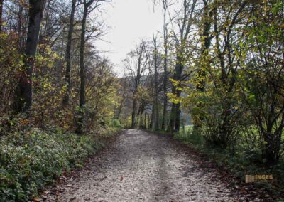 Weg zum Uracher Wasserfall 0006