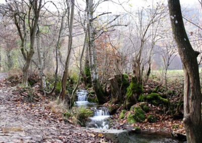 Weg zum Uracher Wasserfall 0162