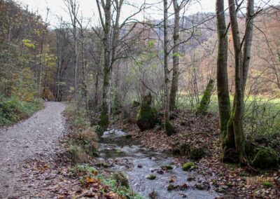 Weg zum Uracher Wasserfall 0176
