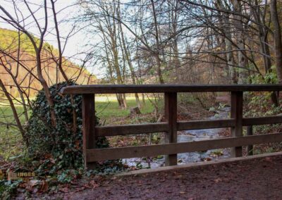 Weg zum Uracher Wasserfall 0209