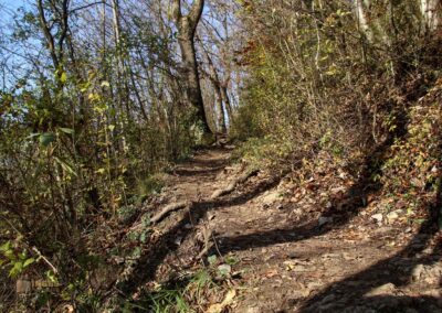 Weg zur Ruine Rosenstein 0908