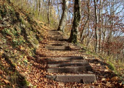 Weg zur Ruine Rosenstein 0985