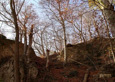 Weg zur Ruine Rosenstein 1056
