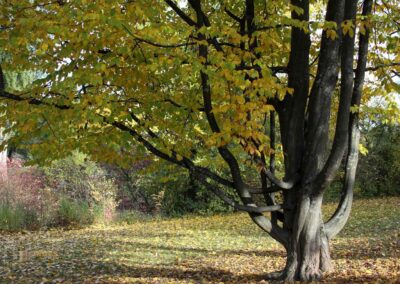 Weg zur Talaue Waiblingen 0970