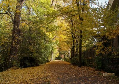 Weg zur Talaue Waiblingen 0981