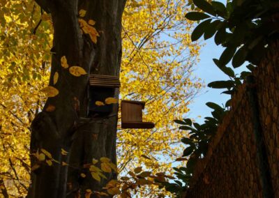 Weg zur Talaue Waiblingen 1005