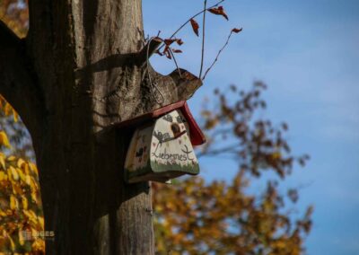 Weg zur Talaue Waiblingen 1012