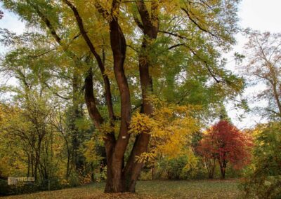 Weg zur Talaue Waiblingen 1148
