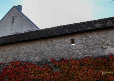 Weingärtner Vorstadt Waiblingen 0402