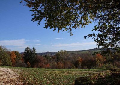 bei Burg Wäscherschloss 0180