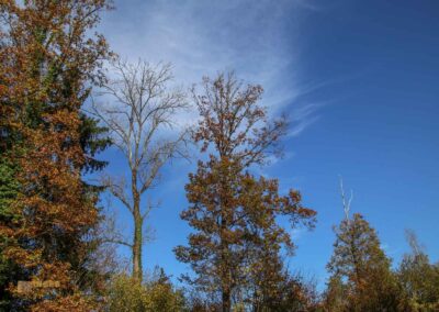 bei Burg Wäscherschloss 0225