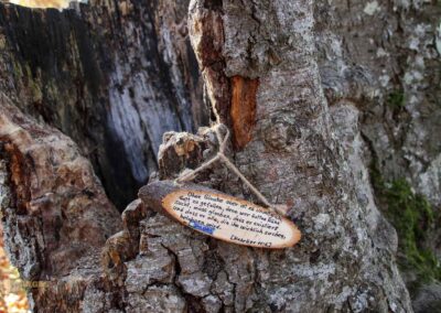 zum Aussichtspunkt auf dem Rosenstein 1171