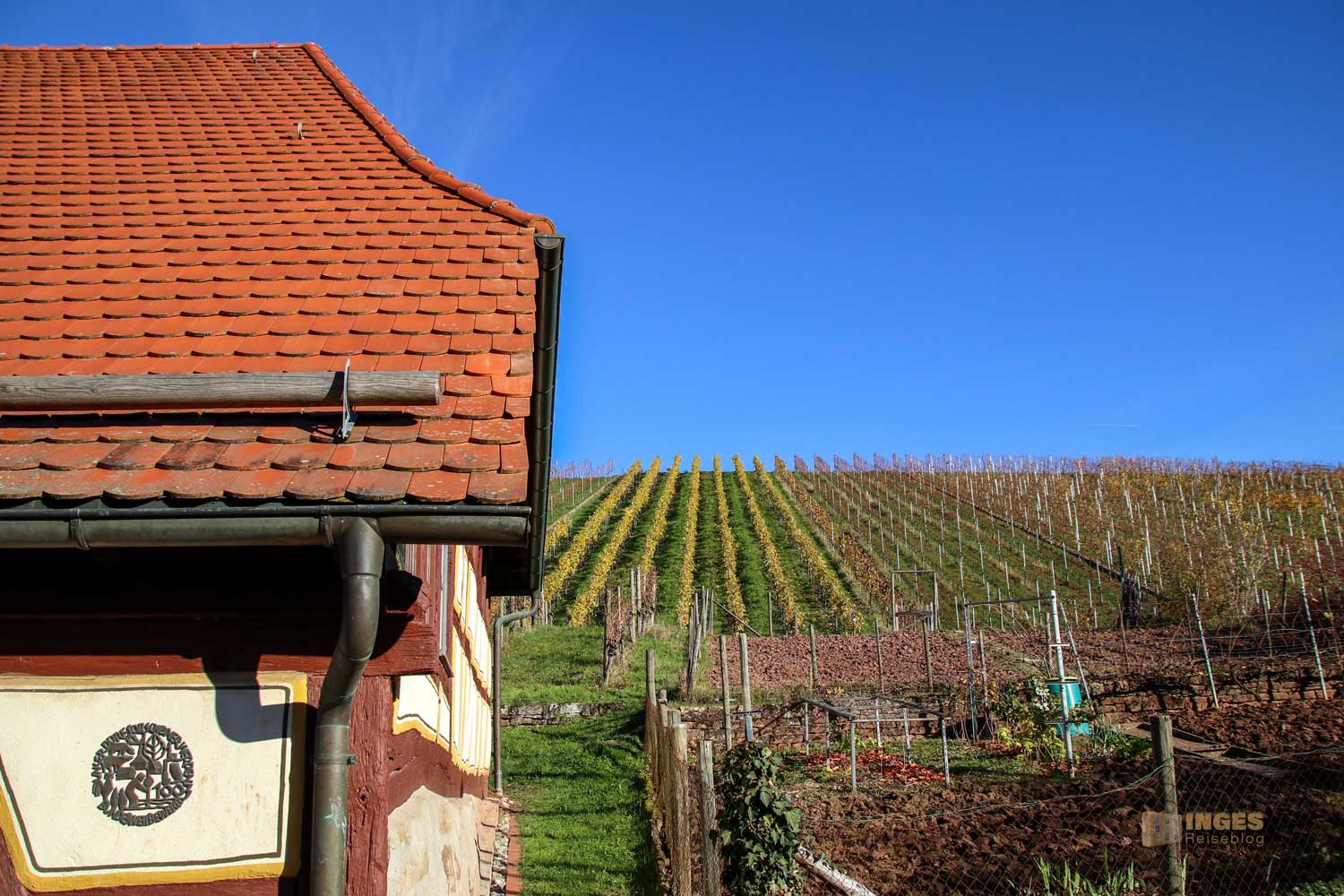 Alte Kelter Strümpfelbach 0335 Alte Kelter Strümpfelbach 0335