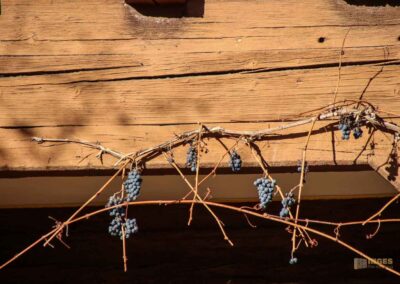 Ein Rundgang durch Strümpfelbach 41 Altes Rathaus in Strümpfelbach 0138