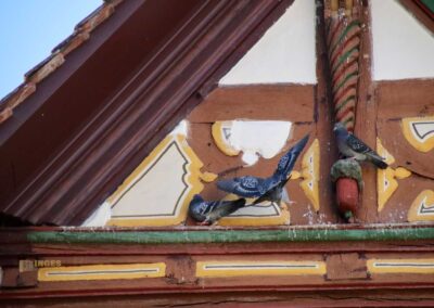 Ein Rundgang durch Strümpfelbach 36 Altes Rathaus in Strümpfelbach 0173