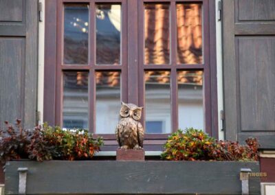 Ein Rundgang durch Strümpfelbach 43 Details in Strümpfelbach 0021