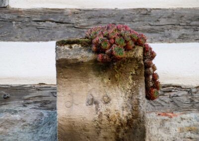 Ein Rundgang durch Strümpfelbach 44 Details in Strümpfelbach 0222