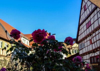 Ein Rundgang durch Strümpfelbach 53 Details in Strümpfelbach 0258