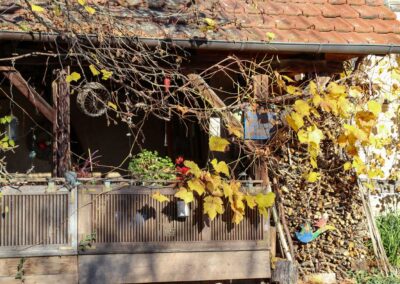 Ein Rundgang durch Strümpfelbach 48 Details in Strümpfelbach 0313