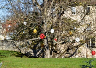 Kommt mit in die Daimlerstadt Schorndorf 15 Schlosspark Schorndorf 0004