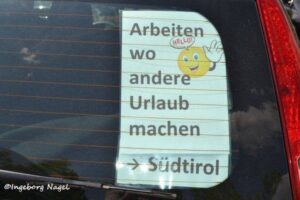 12803074 1239747386053381 3363055555062445133 n