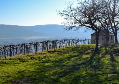 Kommt mit in die Daimlerstadt Schorndorf 92 Aussichtsplattform Grafenberg bei Schorndorf 0026