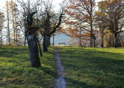 Kommt mit in die Daimlerstadt Schorndorf 93 Aussichtsplattform Grafenberg nach Westen 0579