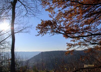 Aussichtsplattform Grafenberg nach Westen 0593
