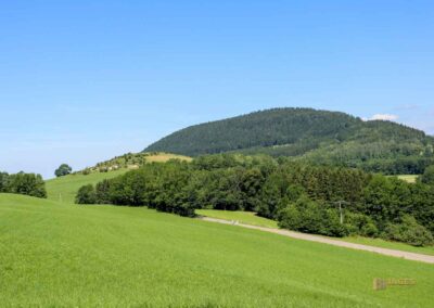 Blick von Tannweiler 0120