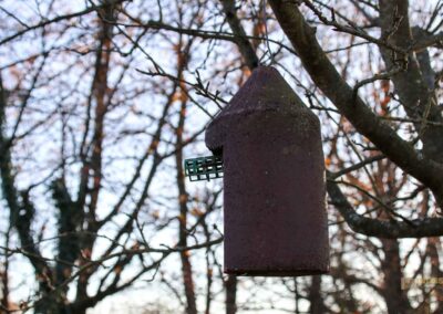Natur am Grafenberg bei Schorndorf 0585