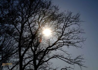 Natur am Grafenberg bei Schorndorf 0704