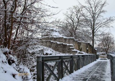 Burgruine Helfenstein 0022
