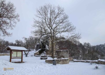 Burgruine Helfenstein 0068