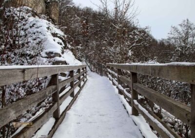 Burgruine Helfenstein 0151