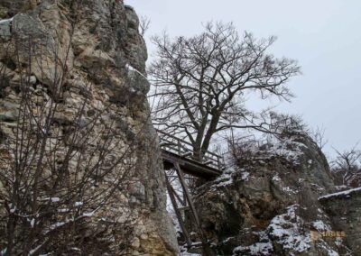 Kernburg Burgruine Helfenstein 0124