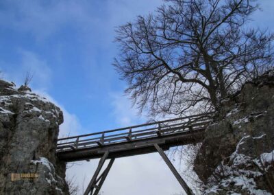 Kernburg Burgruine Helfenstein 0146