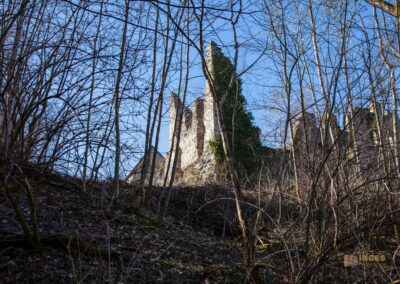 Die Ruine Lauterburg 1 Ruine Lauterburg 0034