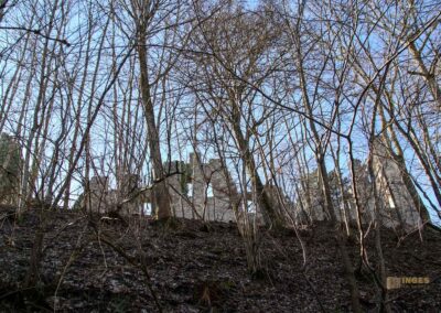 Die Ruine Lauterburg 3 Ruine Lauterburg 0143