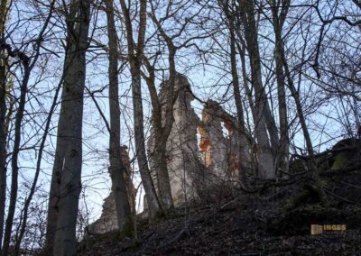 Die Ruine Lauterburg 4 Ruine Lauterburg 0150