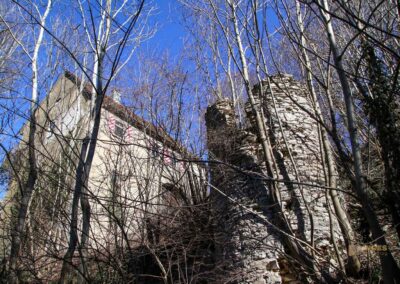 Die Ruine Lauterburg 16 Ruine Lauterburg 0226