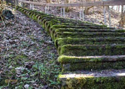 Die Ruine Lauterburg 17 Ruine Lauterburg 0265