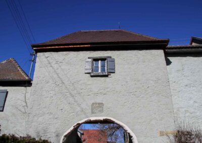 Die Ruine Lauterburg 21 Ruine Lauterburg 0287