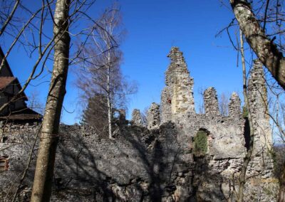 Die Ruine Lauterburg 25 Ruine Lauterburg 0322