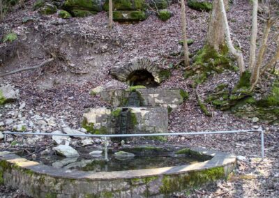 Die Ruine Lauterburg 5 Weg unterhalb der Ruine Lauterburg 0157