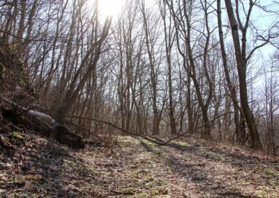Die Ruine Lauterburg 6 Weg unterhalb der Ruine Lauterburg 0171