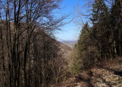 Die Ruine Lauterburg 7 Weg unterhalb der Ruine Lauterburg 0178