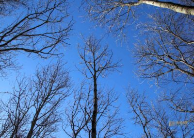 Die Ruine Lauterburg 8 Weg unterhalb der Ruine Lauterburg 0186